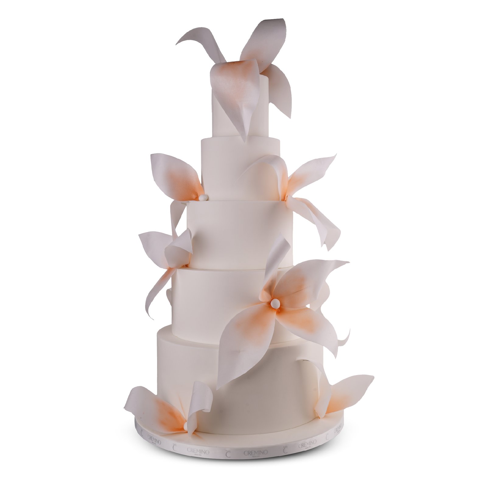 3D Cakes